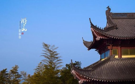 2025年南京景区免费开放日全面开启，探索历史与自然的完美融合