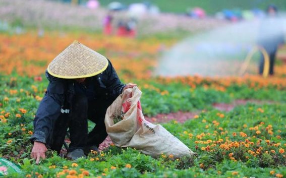 杜陵邑的文化魅力与旅游热潮
