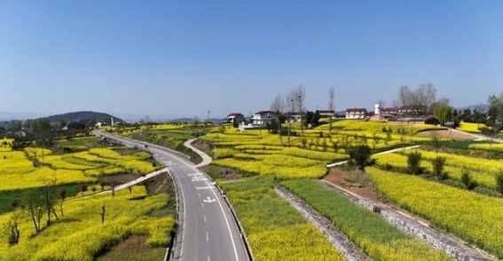 洋县：生态与发展相融的绿色新篇章