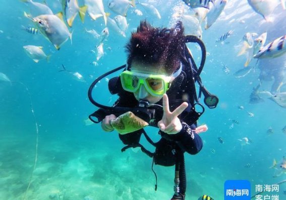 海南潜水经营管理新规：守护游客安全与生态环境