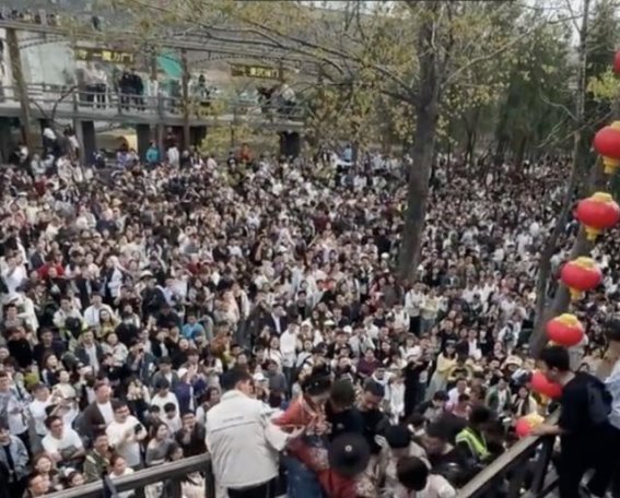 万岁山武侠城景区预约系统崩溃事件分析与应对