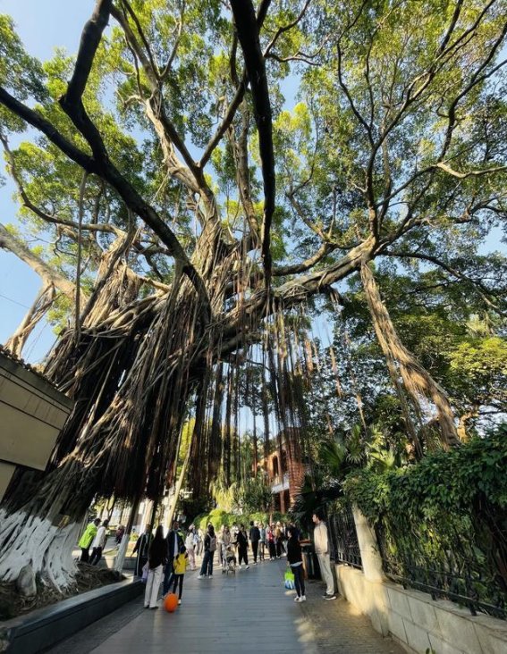 明亚沐心团队游学厦门：在鼓浪屿与厦门大学之间的探索与成长
