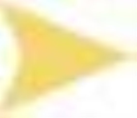 学校传染病防控措施：筑牢健康防线