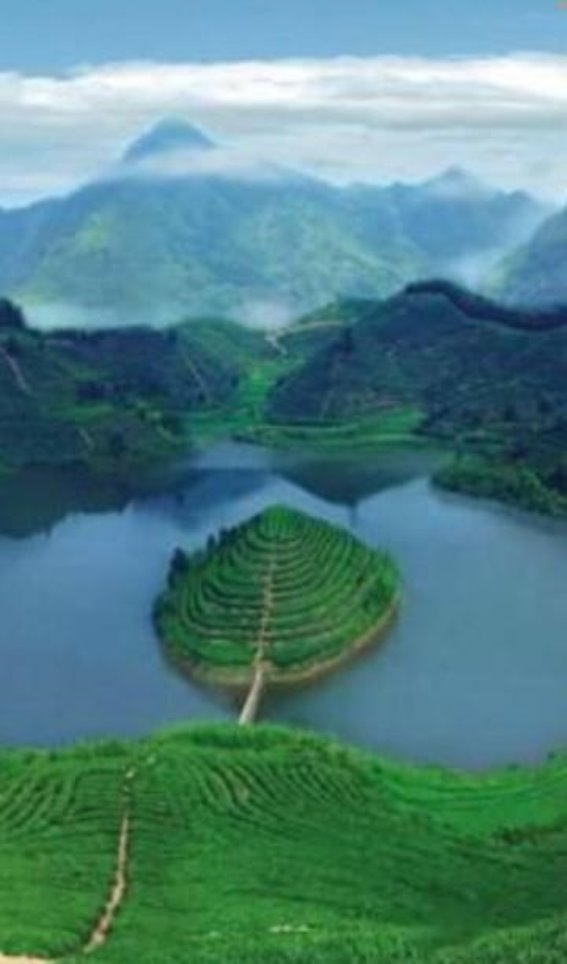 斐济——一个与健康、自然息息相关的“天堂之地”