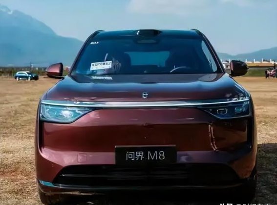 8月第三周SUV销量榜解析：特斯拉领跑，自主品牌占优