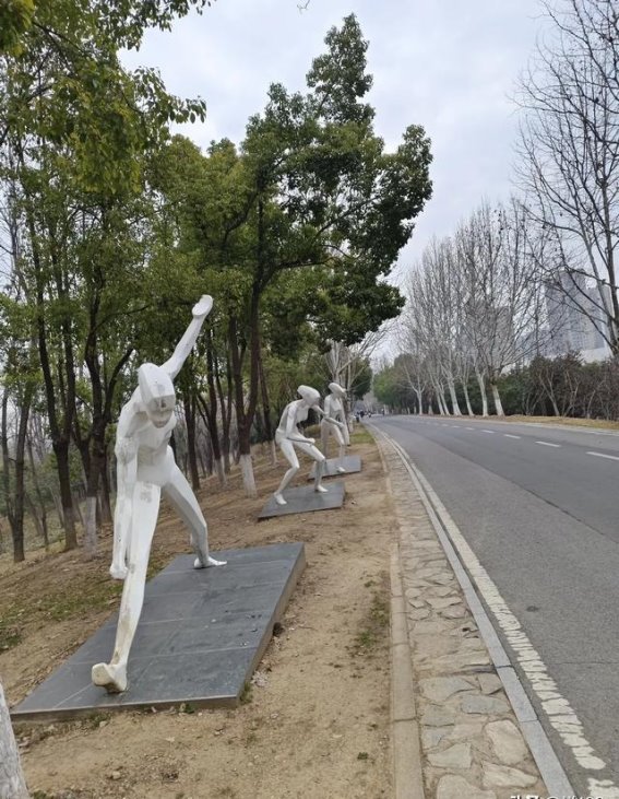 春日晨跑，张公堤上的相遇与坚守