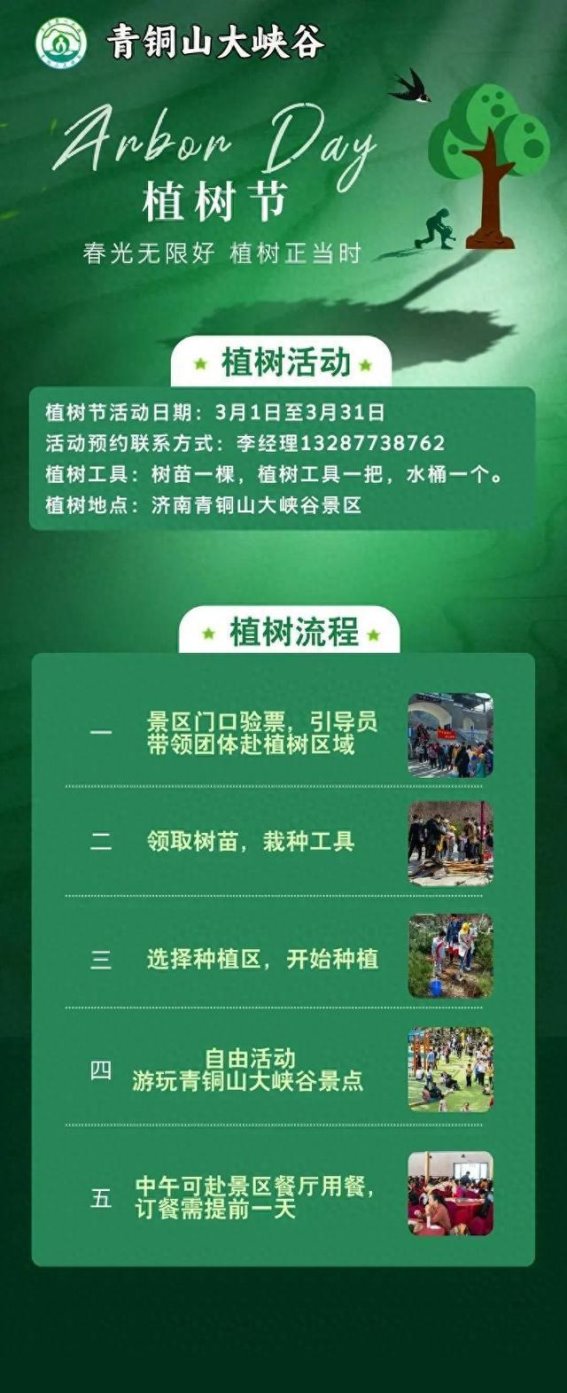 2025年济南植树活动指南，春日绿意尽在其中