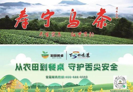 悦己经济引领新潮流 “十里山河”研学基地打造女性专属幸福时光