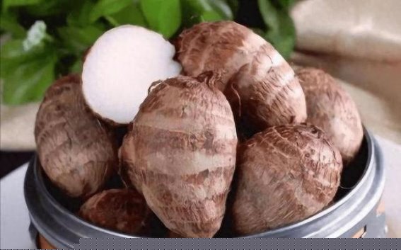 芋头的温和力量：慢性病患者的饮食良方