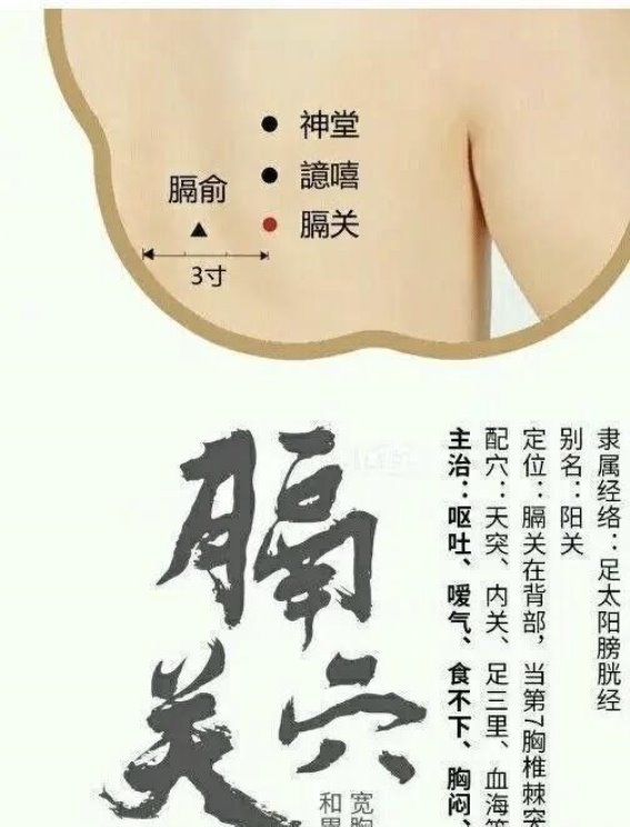 膈关穴：背部健康的“宽胸小能手”