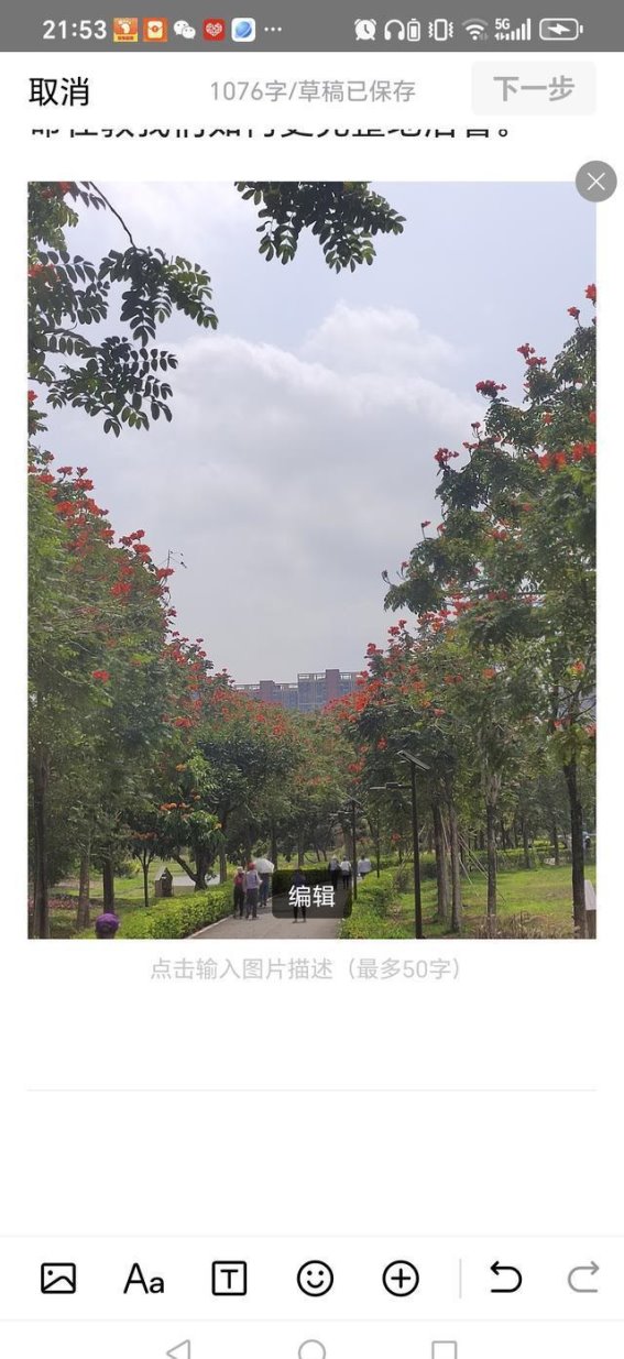 中药治病的五大独特优势及其深远影响