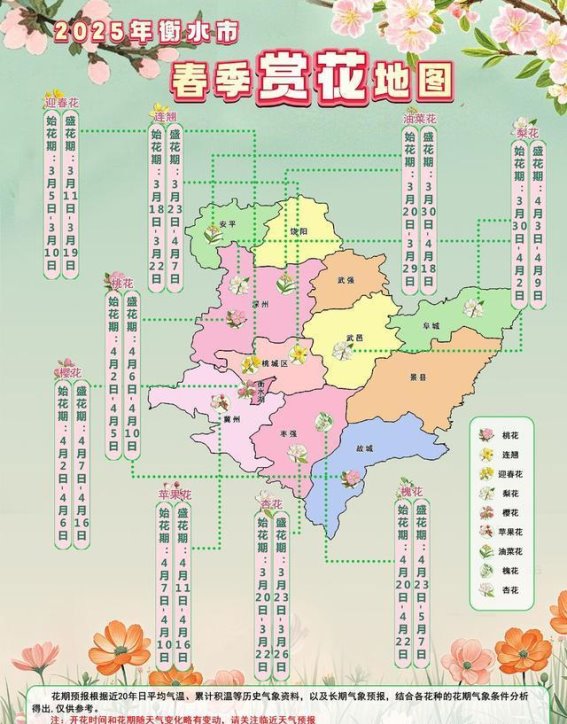 2025年衡水市春季赏花指南：一场浪漫的花海之旅