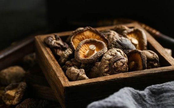 情绪引发的健康隐患：从一包菌菇谈起