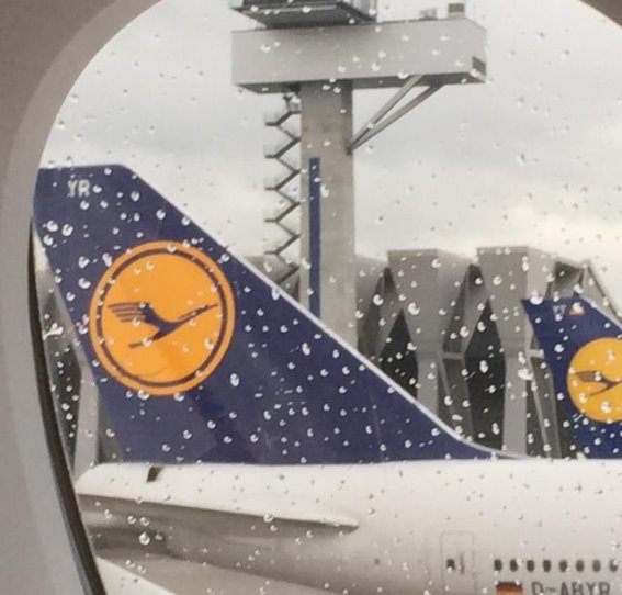 不舍的旅程：相隔万里，有两个早晨