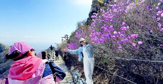 2025大连大黑山杜鹃花海季：春风里绽放的文化与自然之美