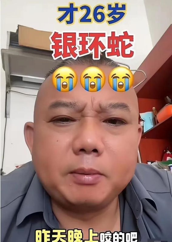 三亚银环蛇毒咬事件引发医疗反思：公众对应急机制的深刻质疑