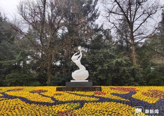 春风拂面，杭州植物园的立春花事
