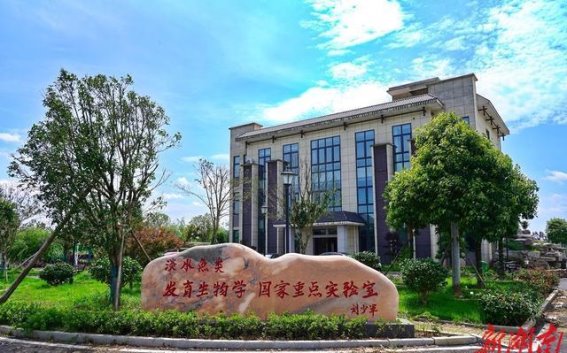 靖港古镇：古韵与今风交融的文旅新篇章