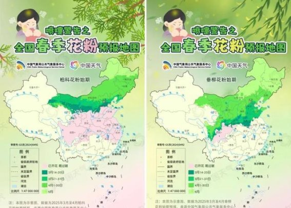 春光里的困扰：不接触花卉为何也会花粉过敏？