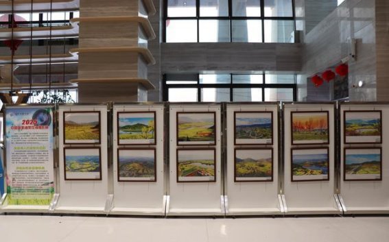2025汉中油菜花海摄影展：春日盛景与文化交响