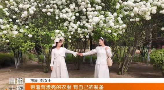 清雅似雪，木绣球花开满园，十堰人快来打卡！