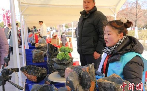 灵璧农文旅电商嘉年华：年味十足的文化盛宴