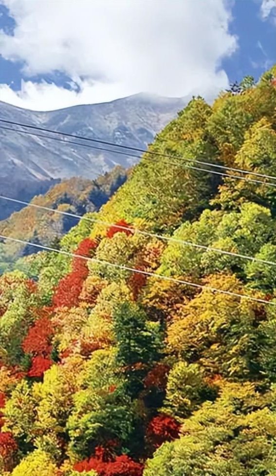 北海道红叶季的绝美景致与赏红叶攻略