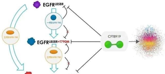 CFT8919胶囊获批：非小细胞肺癌治疗的新希望