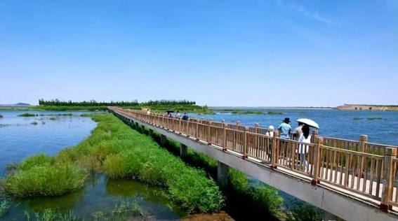 沙漠奇迹：中国如何在荒芜之地筑起亚洲最大水库