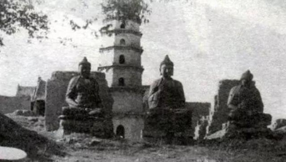 春日漫步，心灵与自然的对话