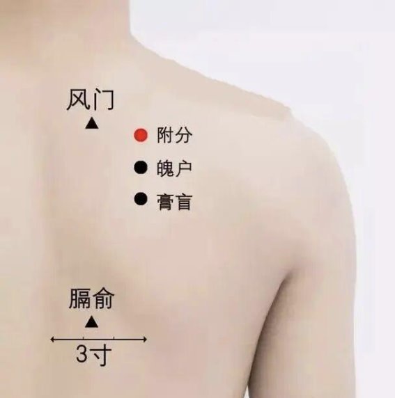 附分穴：肩背问题的“解压阀”，轻松缓解肩痛与背痛
