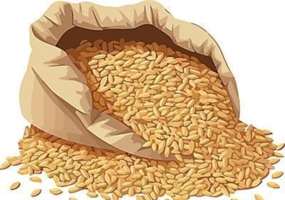 如何科学食用粗粮？健康与美味的完美平衡