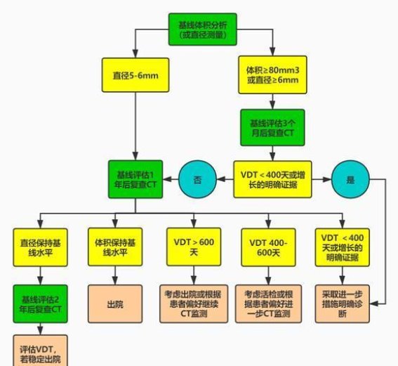 如何评估肺结节的恶性风险并进行科学管理