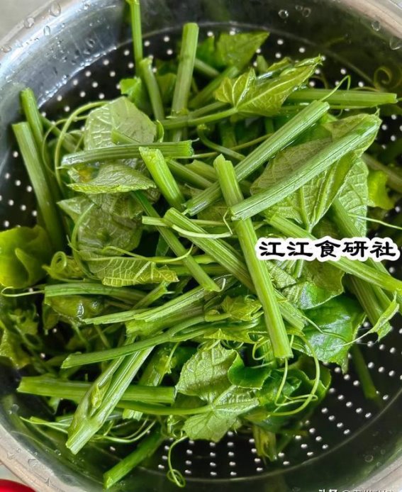 南瓜藤：夏季养生的“隐形珍宝”，您还不知道吗？