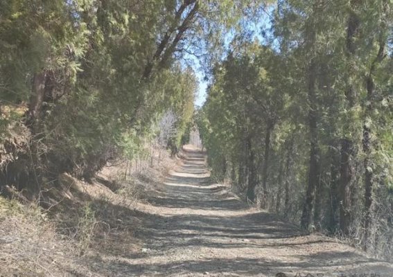 穿越临朐山路：冶源至寺头的自然奇境