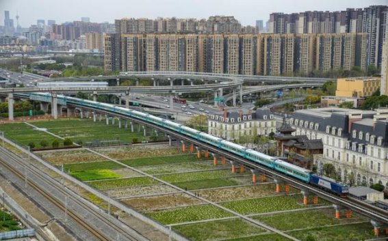 银发旅游专列：点燃春日经济的全新动力