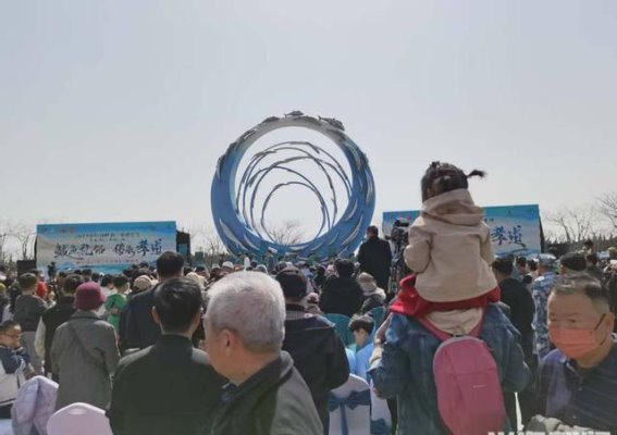 2025沙子口鲅鱼节开幕在即，体验渔家风情与乡村振兴魅力