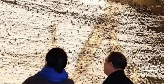 清华女神徐甜甜：用一块“破砖头”重塑乡村建筑的未来