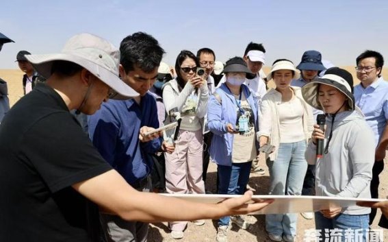 甘肃民勤的绿色奇迹 380公里锁边林带筑牢沙漠防护屏障