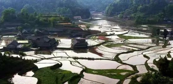 旅游旺季，文旅公司却没有游客，张家界童总的农旅却迎来新的突破