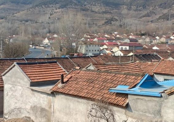 重访临朐：山泉、古树与自然的深情呼唤