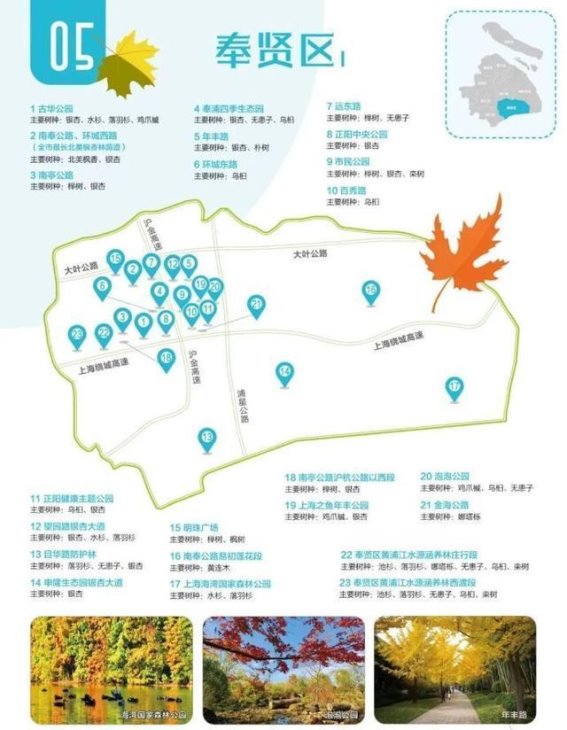 2024上海郊区红叶攻略：秋季出行好去处