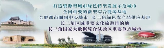 阜阳春节“三暖”迎归心 游子与游客共赴温情盛宴