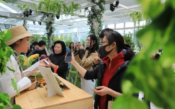 中山公园“珑骧菜园”快闪活动：春日绿意与都市生活的完美融合