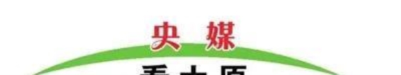 太原春节的璀璨灯火与年味之旅