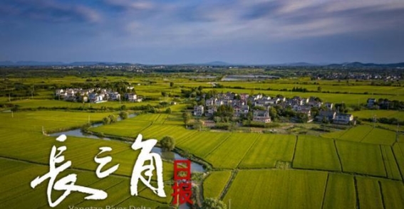 苏州考古博物馆东吴大墓展览搬迁完成，历史遗产重现光辉