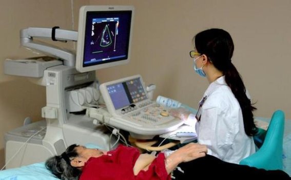 硒与甲状腺健康：不可忽视的代谢守护者