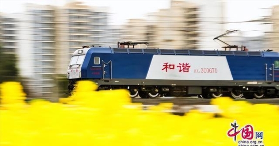 银发旅游专列，春光里温情的旅程