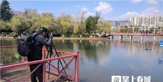 昆明月牙潭公园：白鹭栖息地见证生态环境的变化