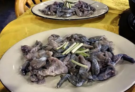 癞蛤蟆毒性揭秘：误食可能致命，如何避免不幸中招